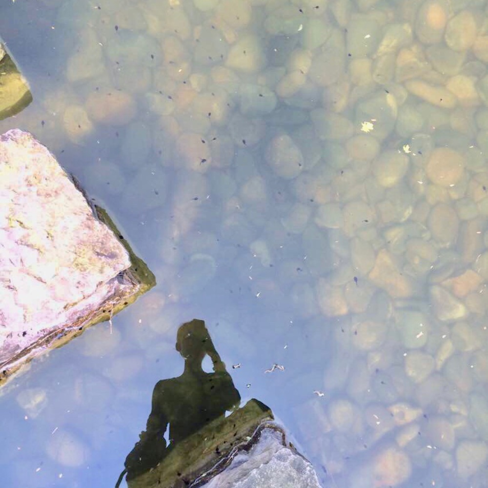 Meet your Posher, Kathy